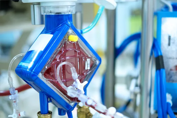 Circuito de ECMO com oxigenador e linhas de circulação extracorpórea